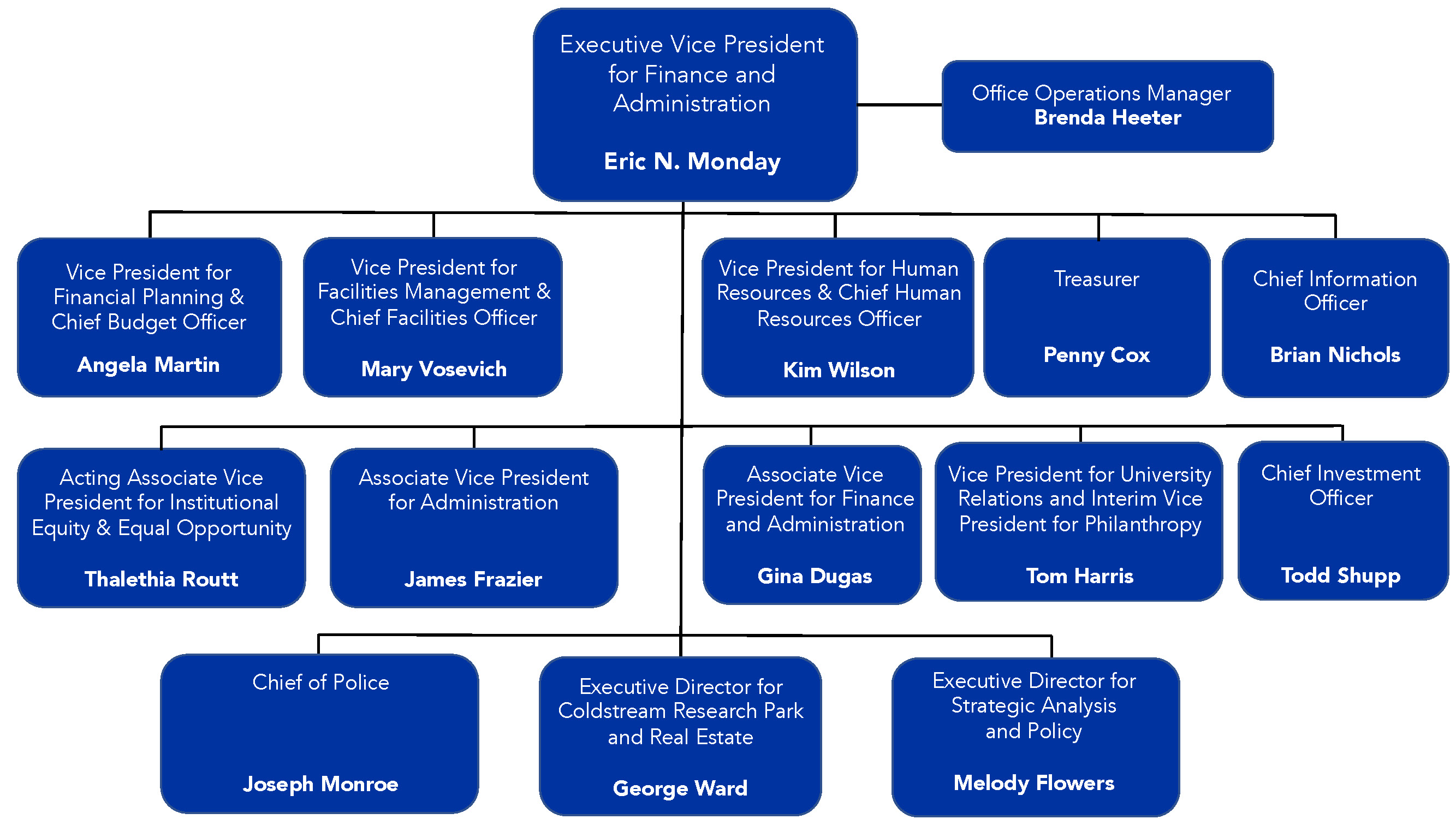 Chart of executive leadership organization