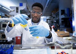 Student conducting research in the lab
