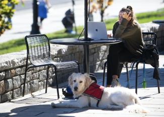 Student and service dog on campus